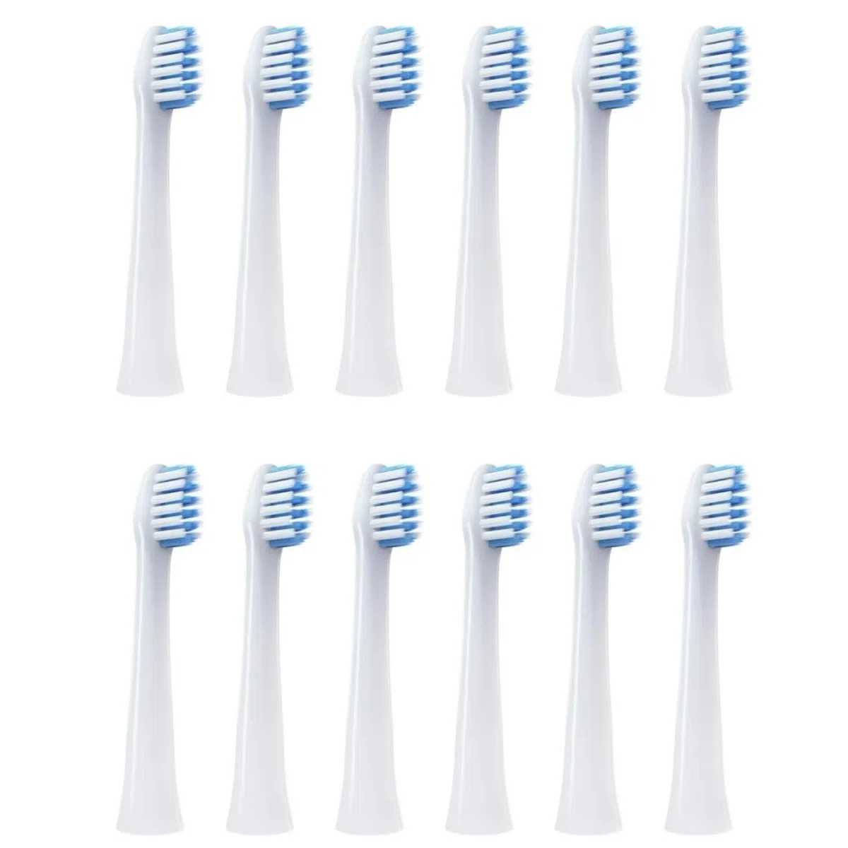 Uno Spazzolino Elettrico Sostituisce La Testina Dello Spazzolino. Compatibile Con Panasonic DM71/DM81/DM711/DM712/DM61/DML1/DM31/PDM7B/MDB3A I Modelli(12pcs Blue)